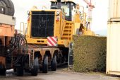 Van_d-Vlist_Cat998H046.jpg