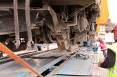 06MB_Actros_MPII_4160_V8_Friderici_Murten052.jpg