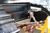 01MB_Actros_MPIII_4365_V8_Feldmann_Langenthal016.jpg