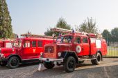 Magirus-Deutz_Mercur_TLF_Feldschloesschen002.jpg