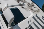 Scania_New_S_V8_Mueller_Husky005.jpg