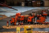 Mini_Trucker_Parcours005.jpg