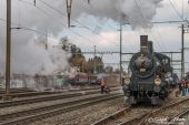 Dampflok_B3_4_1367_SBB_Historic_Wohlen007.jpg