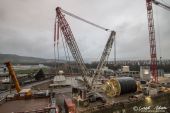 Terex_SL3800_Toggenburger_white_Edition002.jpg