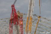 Terex_SL3800_white_Edition_Toggenburger029.jpg