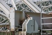 Terex_SL3800_white_Edition_Toggenburger048.jpg