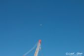 Terex_SL3800_white_Edition_Toggenburger012.jpg