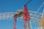 Terex_SL3800_white_Edition_Toggenburger007.jpg