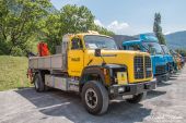 Saurer_D290B_Walo001.jpg