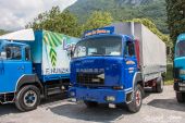 Saurer_D290_Swiss_Car_Barras.jpg