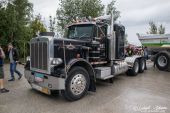 Peterbilt_359_Ottl.jpg