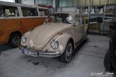 VW_Kaefer.jpg