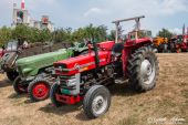 Massey-Ferguson_135.jpg