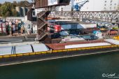 MAN_TGS_33.500_Clausen_Auhafen007.jpg
