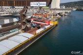 MAN_TGS_33.500_Clausen_Auhafen010.jpg