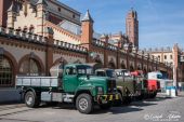 Saurer_D290B_gruen.jpg
