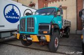 Saurer_D290B_Amstein.jpg