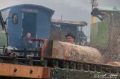 Holzfraesen_GDSF003.jpg