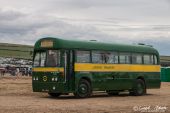 AEC_Regal_London_Transport.jpg
