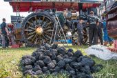 Fowler_Lokomobil_das_Altdeutsche_Dampf-Pferdekarussell002.jpg