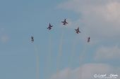 Northrop_F5E_Tiger_Patrouille_Suisse064.jpg