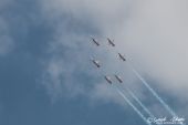 Northrop_F5E_Tiger_Patrouille_Suisse016.jpg