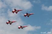 Northrop_F5E_Tiger_Patrouille_Suisse049.jpg