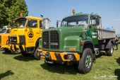 Saurer_D290B_Scherrer_Roggwil.jpg