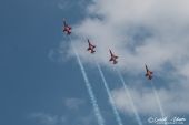 Northrop_F5E_Tiger_Patrouille_Suisse022.jpg