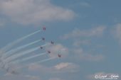 Northrop_F5E_Tiger_Patrouille_Suisse004.jpg
