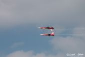 Northrop_F5E_Tiger_Patrouille_Suisse044.jpg