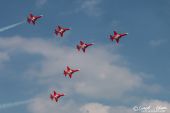 Northrop_F5E_Tiger_Patrouille_Suisse013.jpg