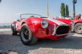 AC_Cobra_rot002.jpg
