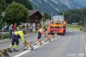 02MAN_TGX_53.540_Wipfli_Guendlischwand024.jpg