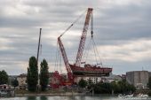 LIEBHERR_LR11000_Emil_Egger_Gannet185.jpg