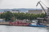 LIEBHERR_LR11000_Emil_Egger_Gannet001.jpg