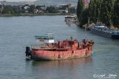 LIEBHERR_LR11000_Emil_Egger_Gannet027.jpg