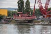 LIEBHERR_LR11000_Emil_Egger_Gannet109.jpg