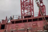 LIEBHERR_LR11000_Emil_Egger_Gannet233.jpg