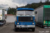 Volvo_F89_Markus_Kueng001.jpg
