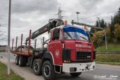 Saurer_D330B_Schilliger_Holz003.jpg