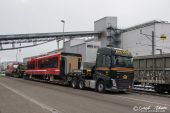 3L3A7396.jpg