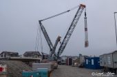 LIEBHERR_LR1750_Fanger_Oberkirch004.jpg