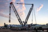LIEBHERR_LR1750_Fanger_Oberkirch013.jpg