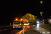 02MB_Arocs_4163_SLT_Welti-Furrer_Niederbipp015.jpg