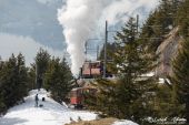 Rigibahn_Nummer_7_Rigi_Kulm004.jpg