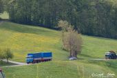 MB_LP_1932_V10_Zbaeren_Unterwegs001.jpg