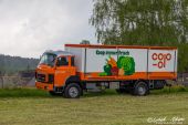 Berna_D290B_Coop_Geltwil006.jpg