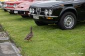 Stockente_Arbon001.jpg