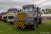 Saurer_D290B_Steinauer001.jpg